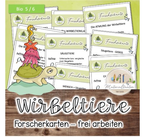 Deckblatt Quadrat