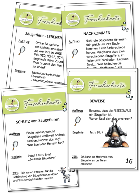 Bild1