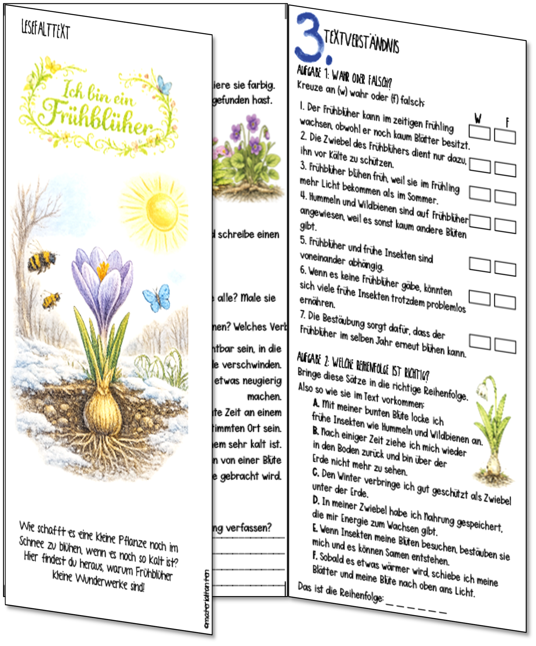 Frühblüher Vorschau 1