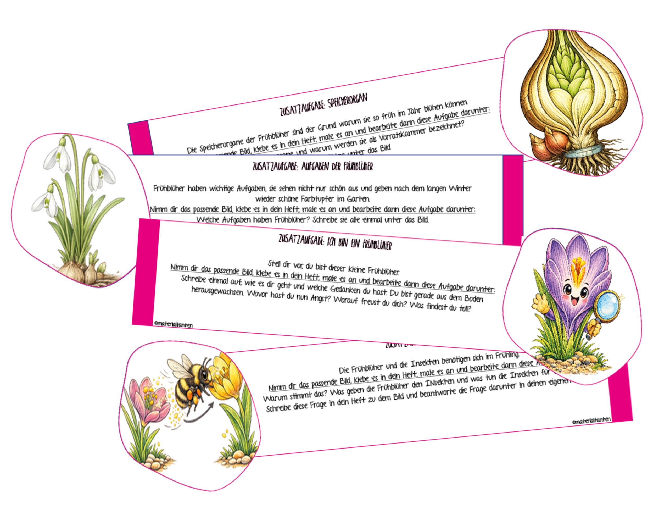 Vorschau Zusatzaufgaben